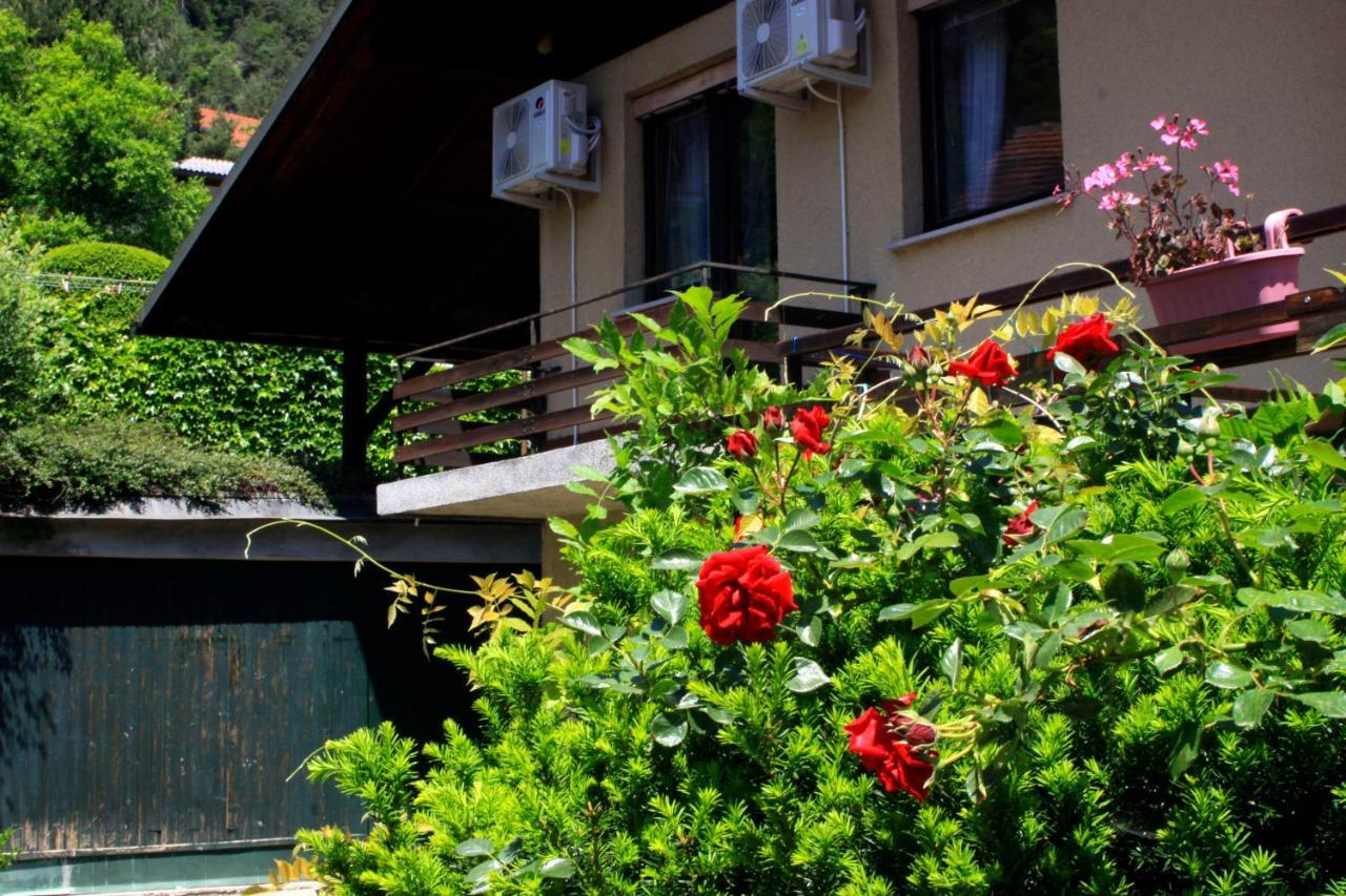 Na Kopitarjevi Hotell Laško Exteriör bild