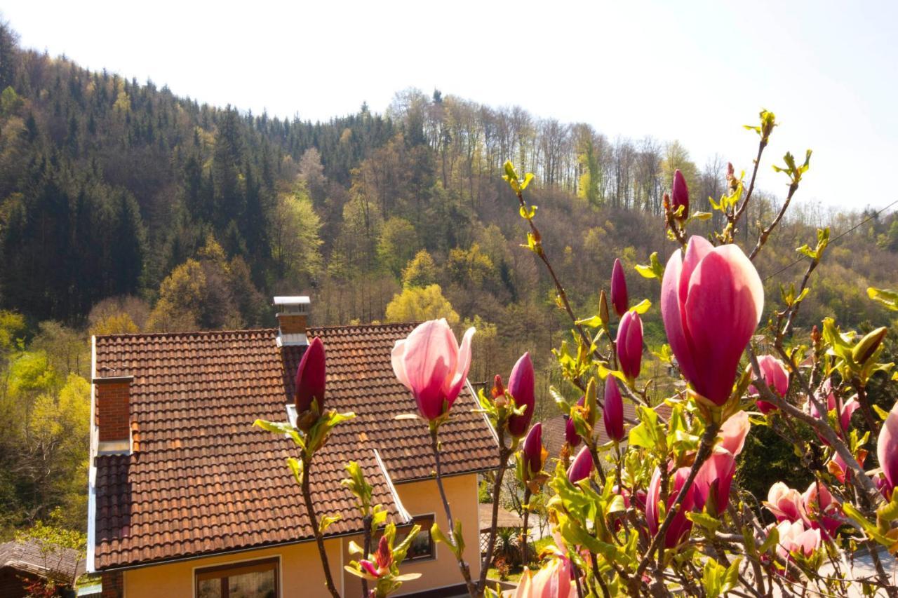 Na Kopitarjevi Hotell Laško Exteriör bild